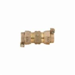 FORD BRASS COUPLING 1" #C44-44-NL CTS X CTS